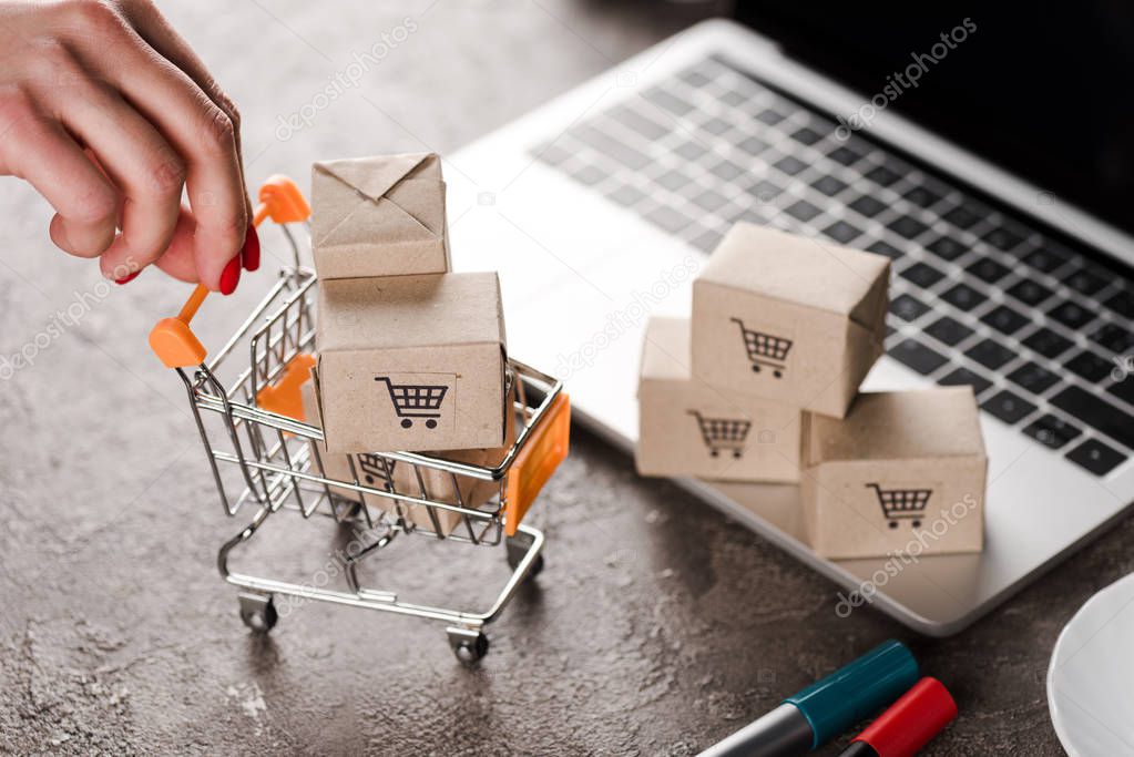 Persona che acquista climatizzatore e caldaia da shop online su laptop